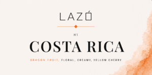 Costa Rica H1 washed coffee bag by LAZÓ Roastery